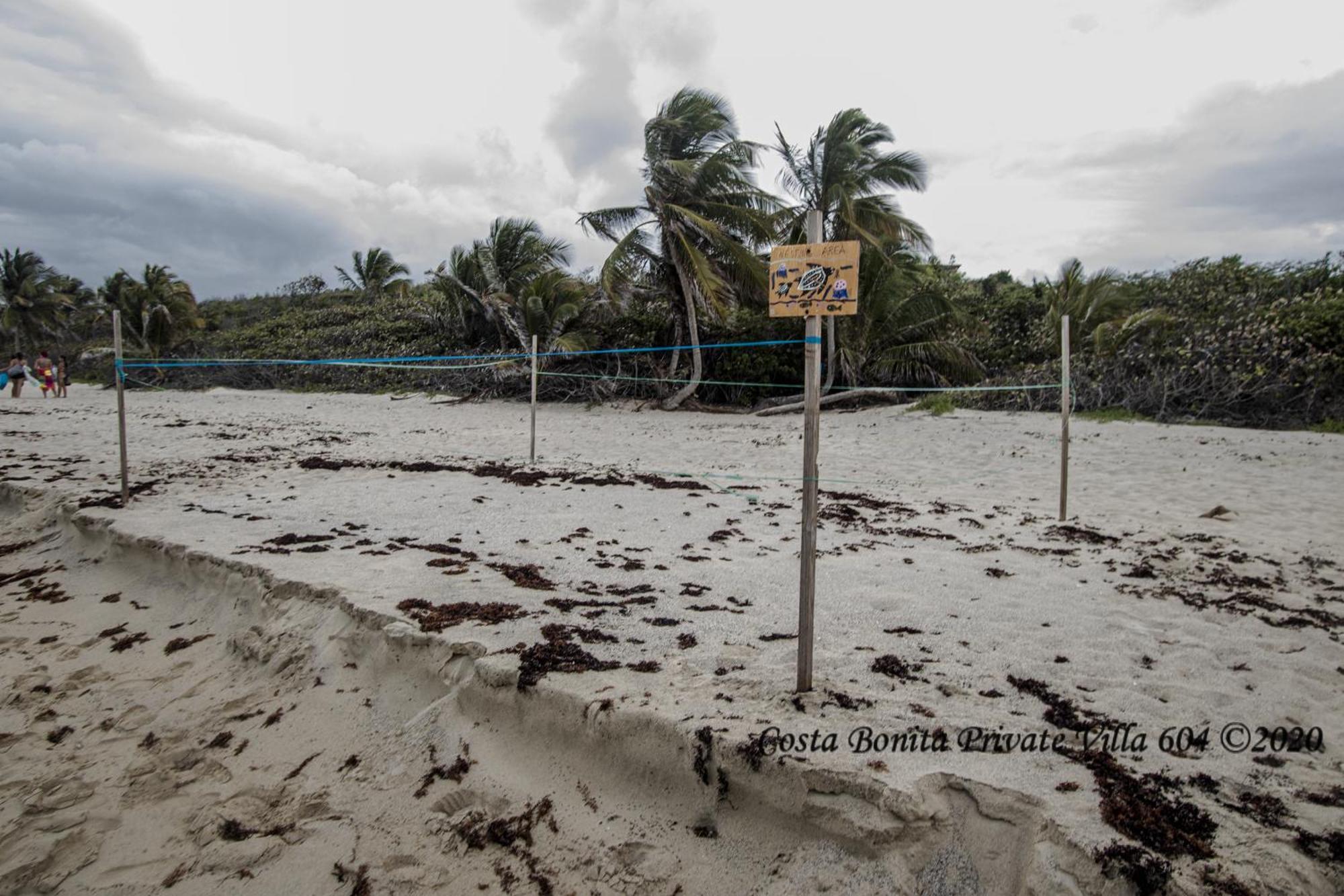 Costa Bonita Private Villa 604 Isla Culebra Εξωτερικό φωτογραφία