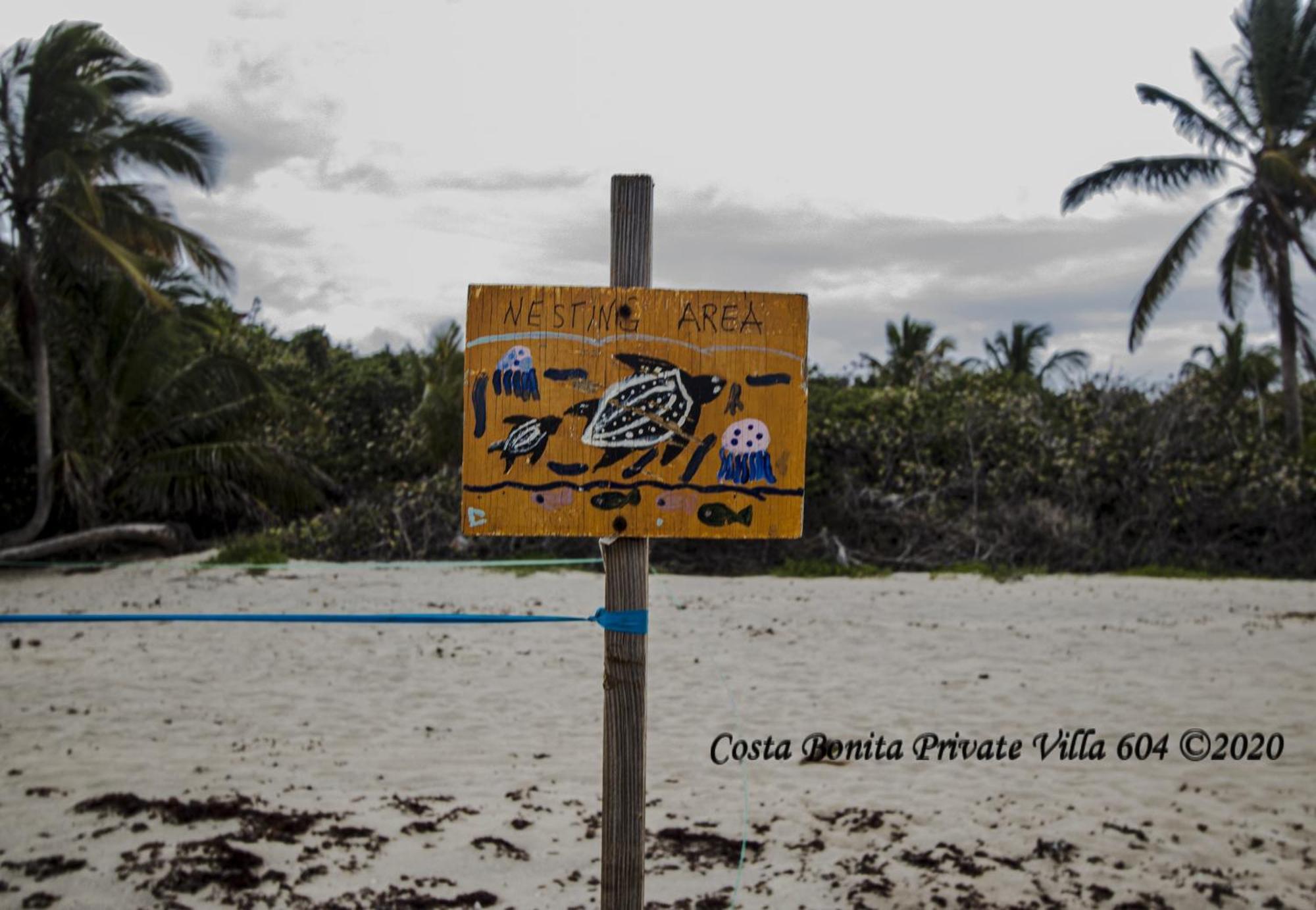 Costa Bonita Private Villa 604 Isla Culebra Εξωτερικό φωτογραφία